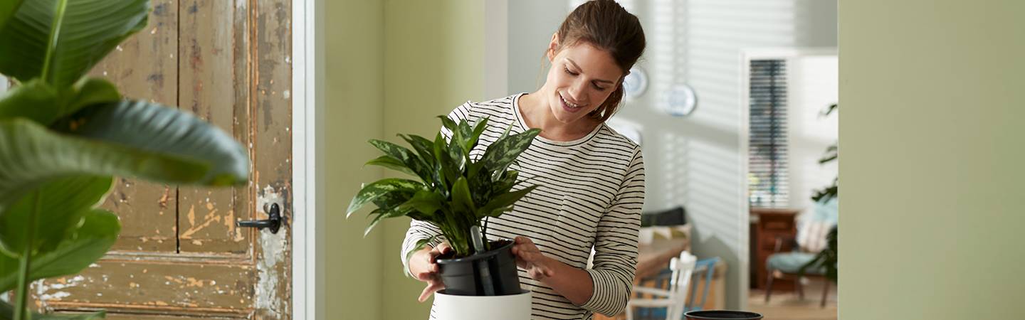 Selbstbewässerungssystem 28cm living schwarz